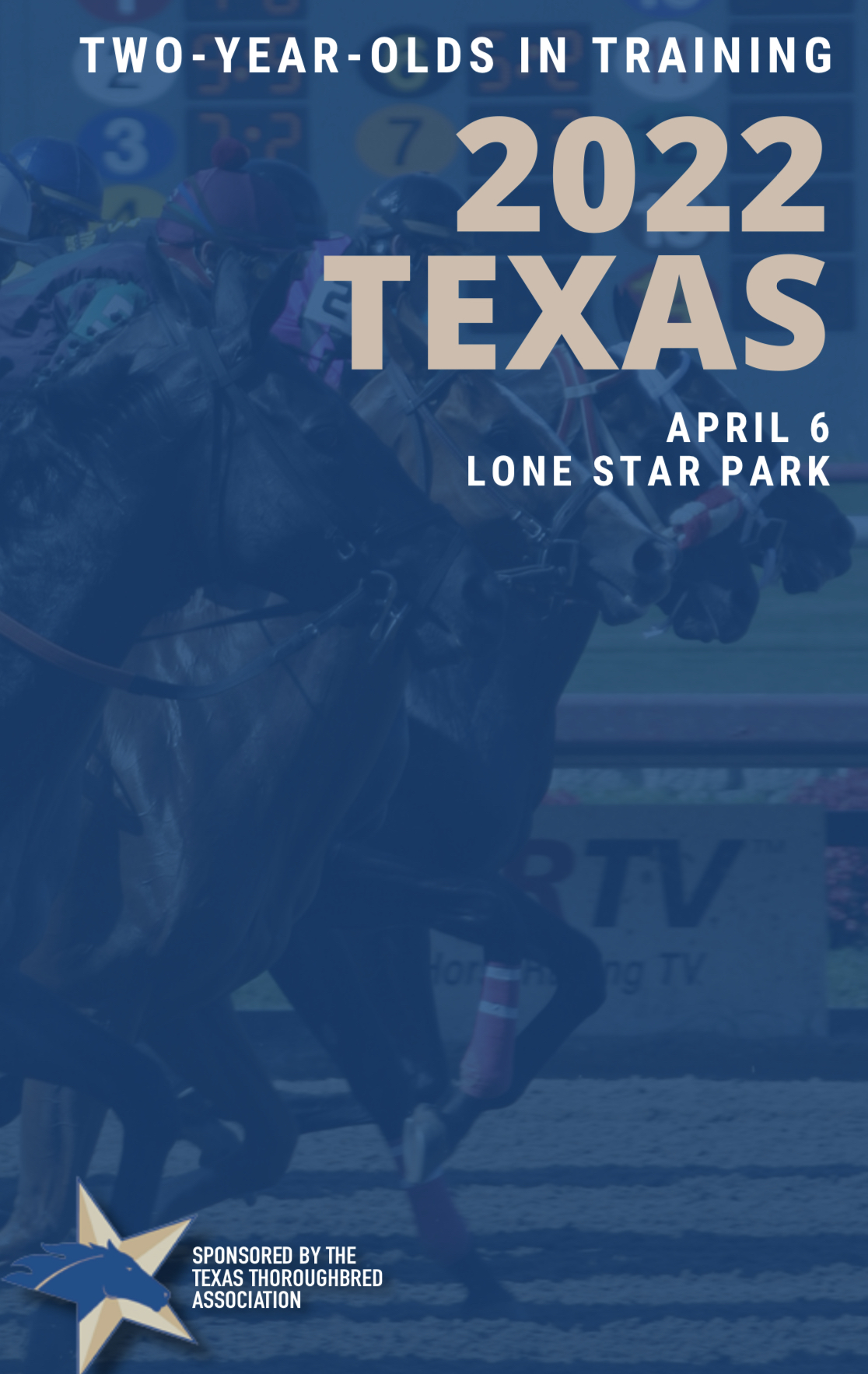 Stallion Power In the 2022 Texas TwoYearOlds in Training Sale Catalog