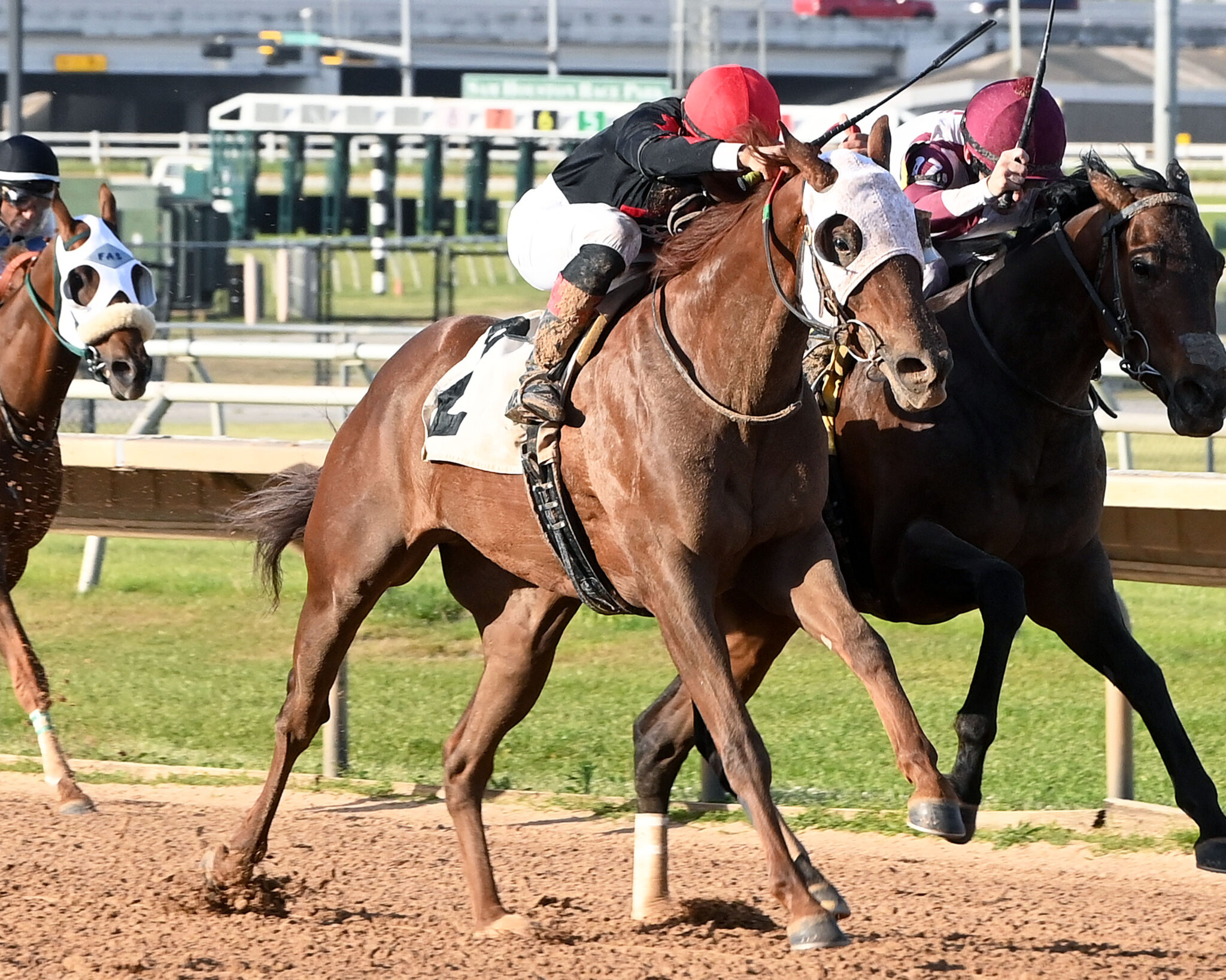 Texas Racing Association Texas Thoroughbred Association – The official website of the TTA