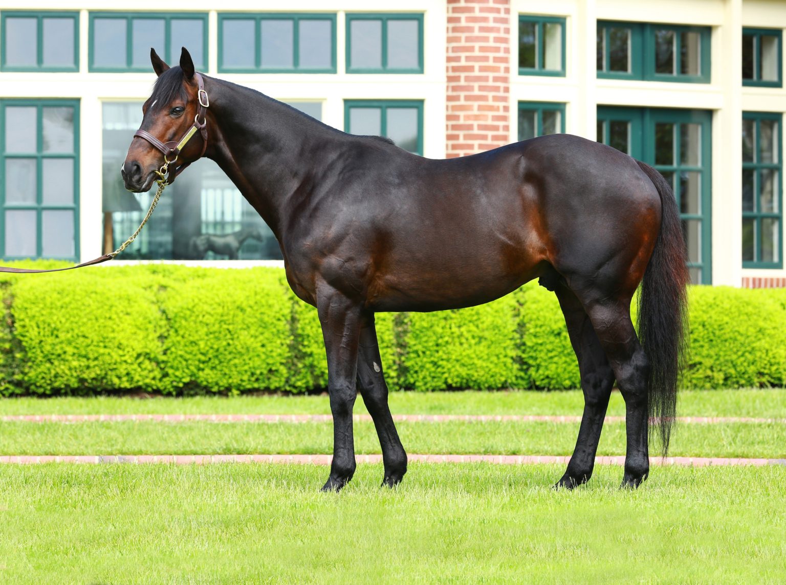 Texas Thoroughbred Association The official website of the TTA