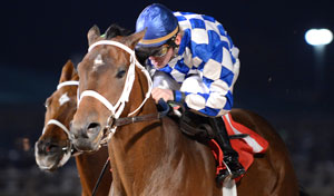 Coyote Legend wins the $100,000 Star of Texas Stakes * Photo by Coady Photography