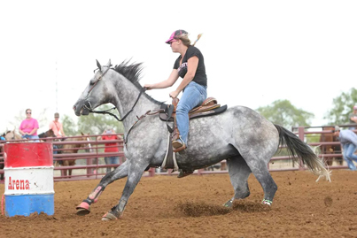 Texas-bred Brooks Open Gold is now embarking on a career as a barrel racer (Photo by Image Hounds Photography/Ken Carmona)